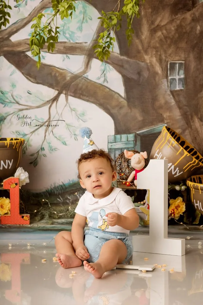 Get ready for your One Year Old\Smash Cake Session — Golden Art Photography